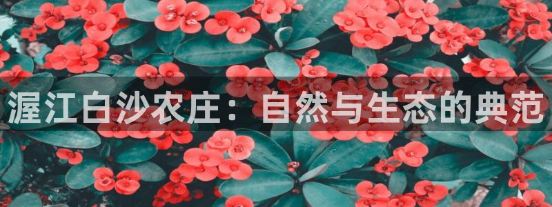 pg电子黄金城游戏视频