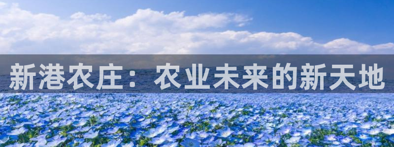 pg电子棋牌网站大全