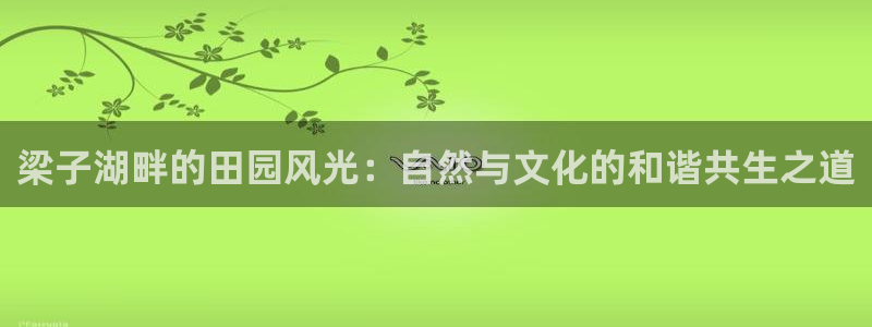 电子pg游戏怎么玩