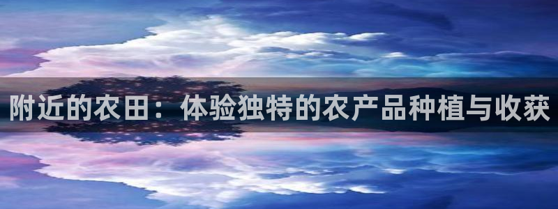 pg电子平台体验版