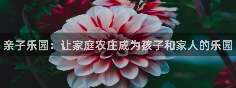 pg电子麻将胡了2爆超级大奖