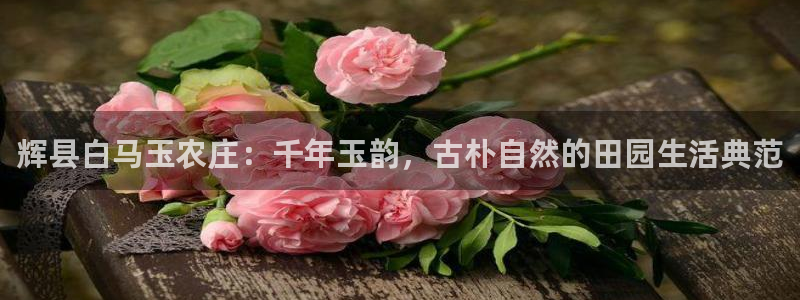 pg电子游戏输十万