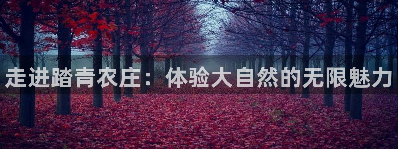 搜索电子专业术语PG