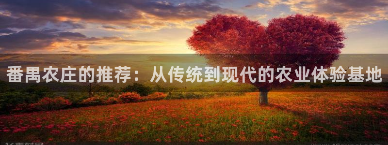 pg电子游戏在哪玩
