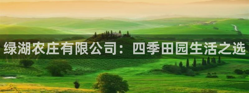 pg电子吃分爆分时间