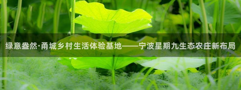 pg电子招财喵