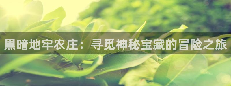pg电子是谁开发的