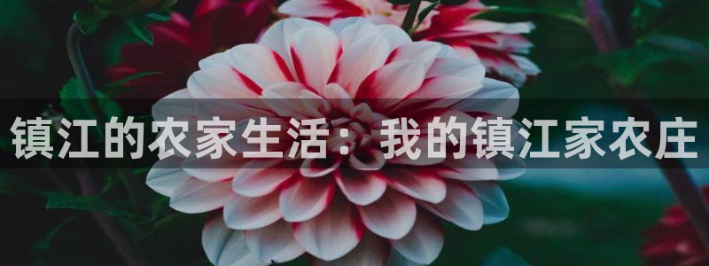 168体育pg电子