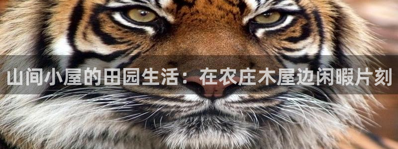 pg电子试玩平台