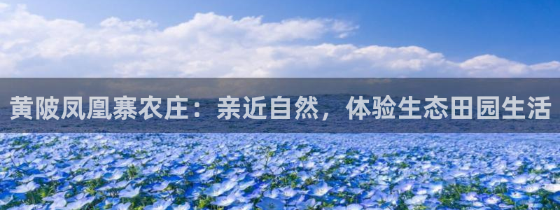 pg电子不给爆分了