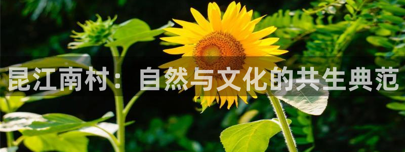 pg电子游戏哪个爆分