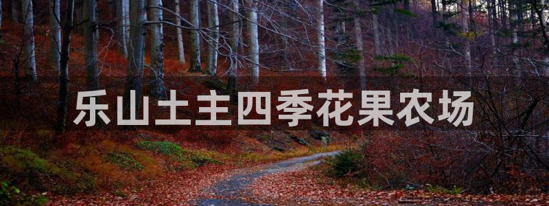转出至PG电子什么意思