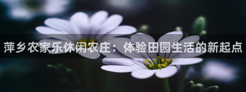 pg电子哪个中奖率高