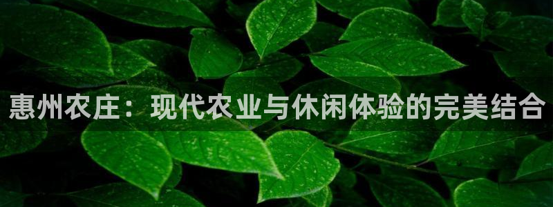 pg电子棋牌网站大全