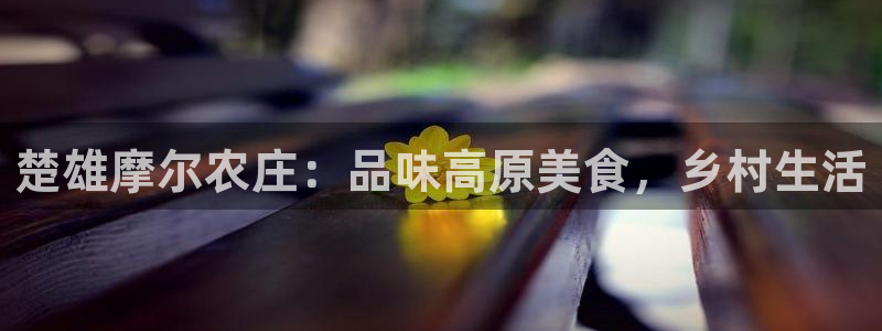 pg电子平台官方网址