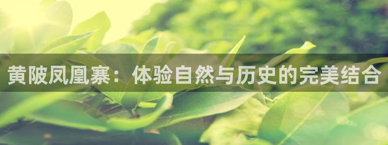 靠谱的PG电子