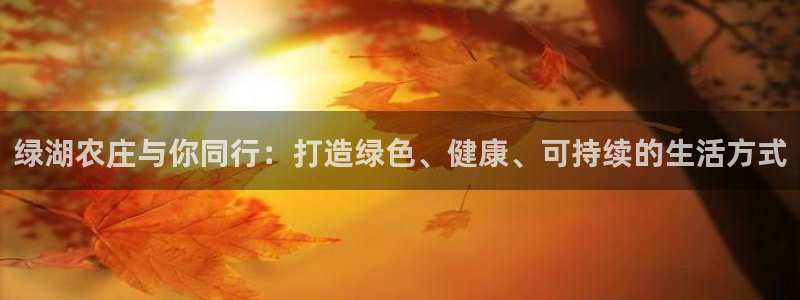 pg电子爆分