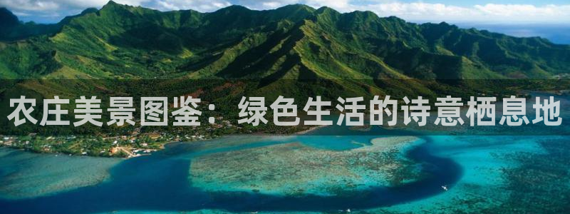 pg电子官方