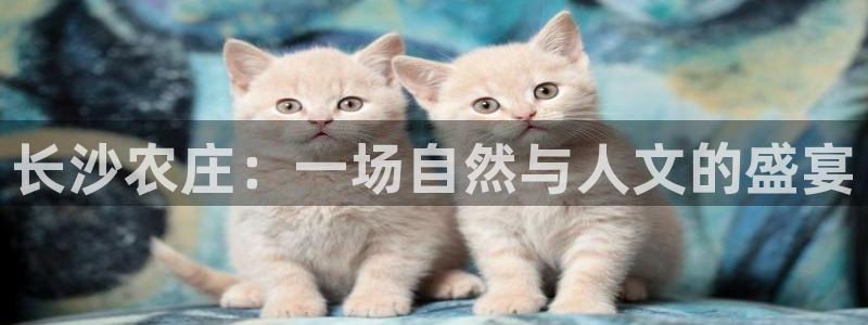 pg电子寻龙探怎么吃分