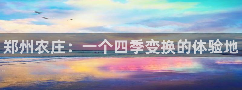 pg电子怎么赚钱