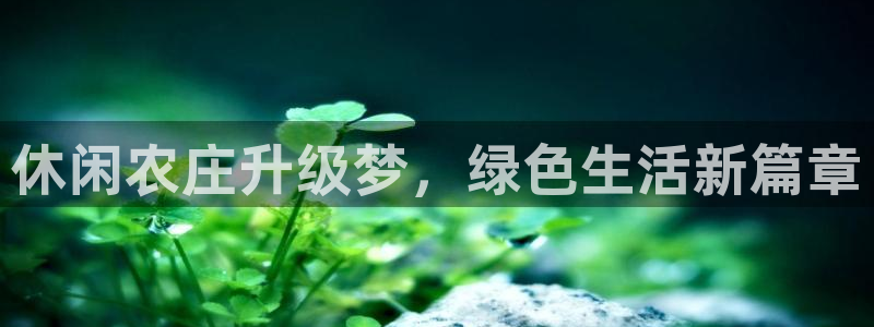 pg电子游戏国外官网