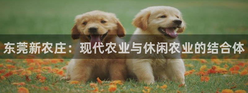 有pg电子的