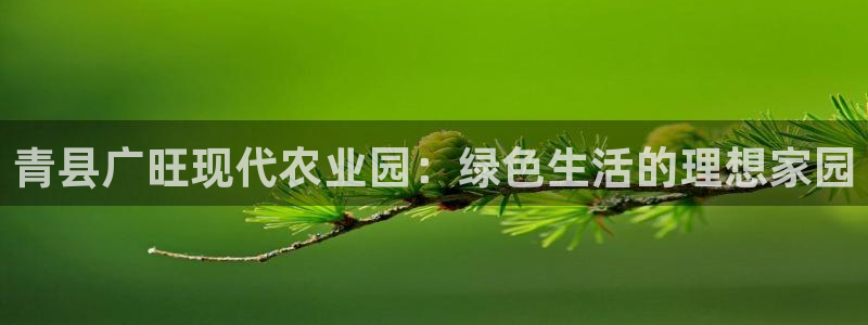 pg电子麻辣火锅爆分