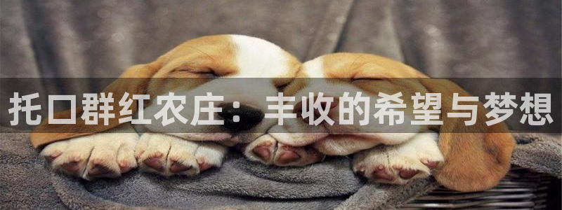 pg电子游戏贴吧