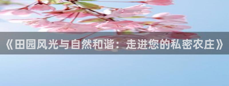 pg电子最新网站入口