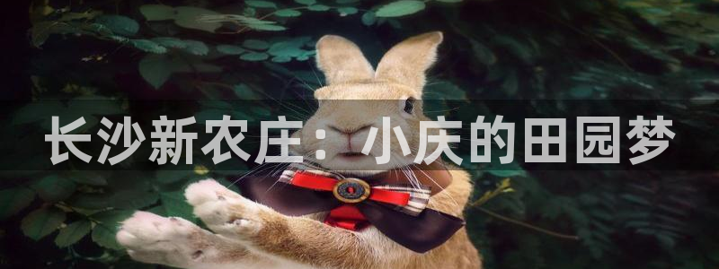 pg电子哪个平台好打