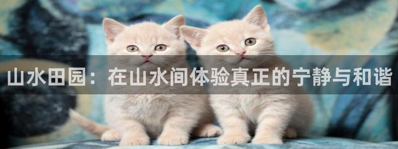 PG电子到底公不公正