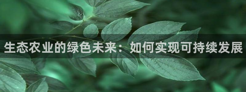 pg电子寻宝黄金城网址是什么