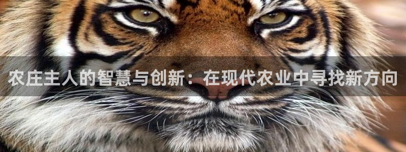 pg电子平台能操控吗