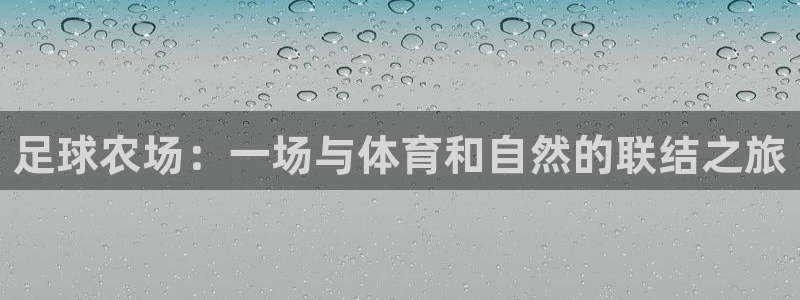 168体育pg电子