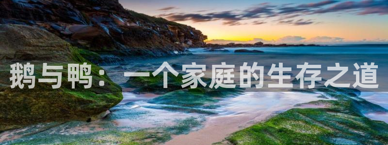 pg电子平台不凡成就非凡