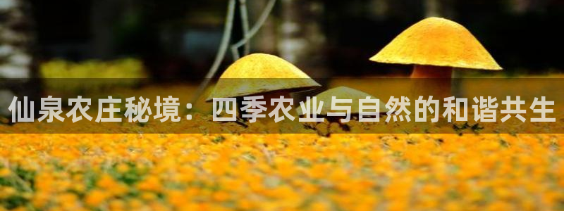 娱乐入口pg电子