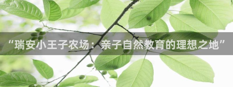 pg电子 爆分视频