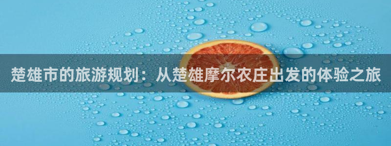 凤凰传奇pg电子