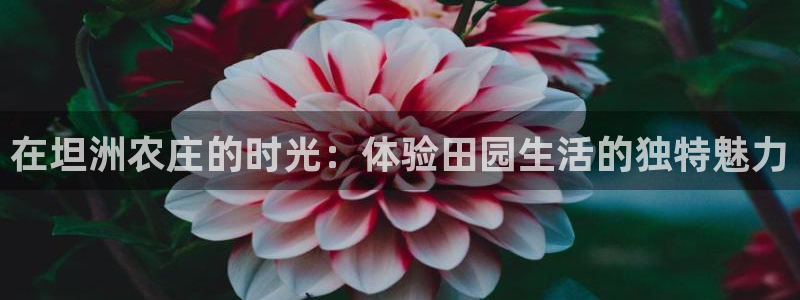 pg电子大奖爆分视频