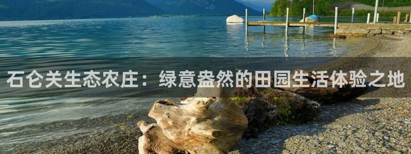 PG电子爱尔兰精灵免费