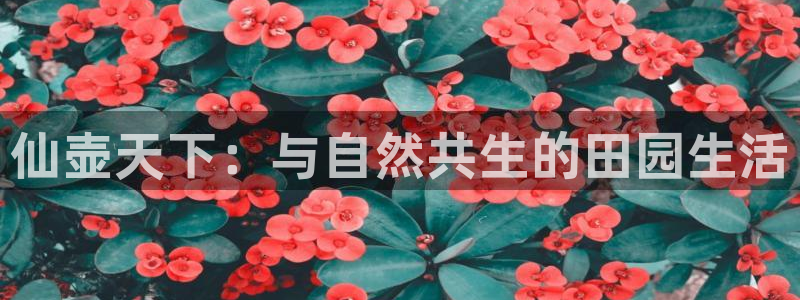 pg电子