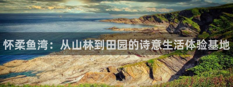pg电子正规apo
