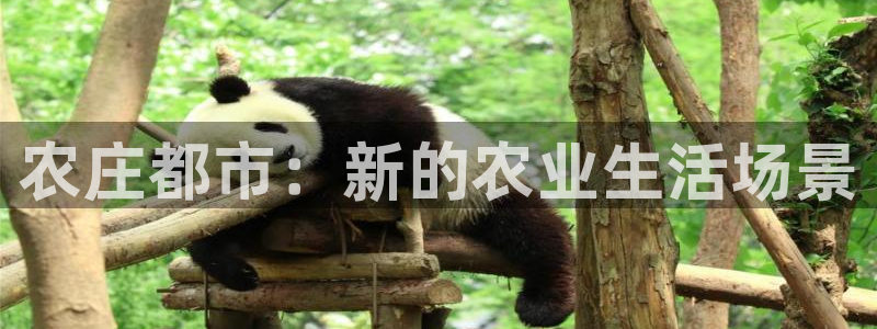 pg电子什么好玩