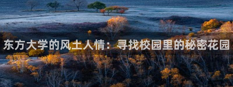 pg电子白天玩还是晚上