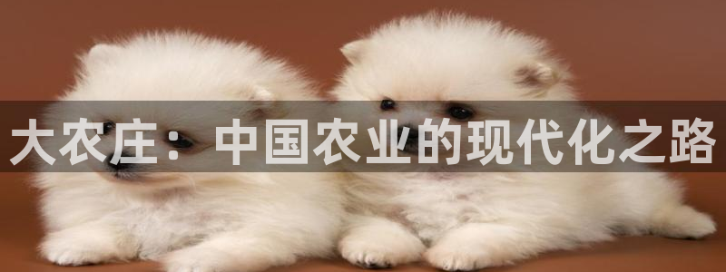 pg电子试玩儿