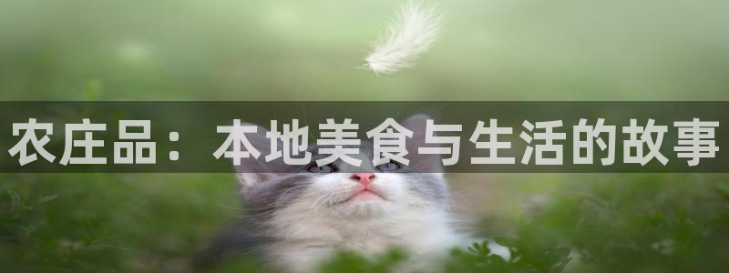pg电子游戏平台哪个