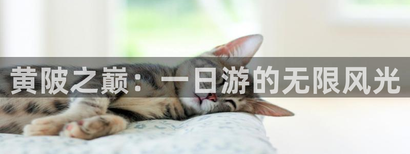 pg电子游戏输十万