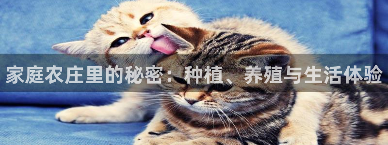 pg电子哪款好爆
