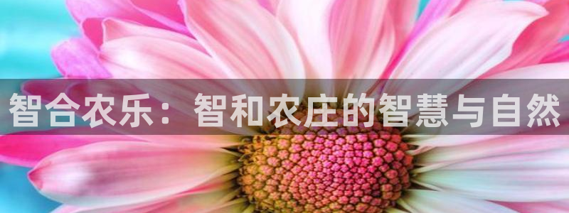 pg电子夺宝试玩网站