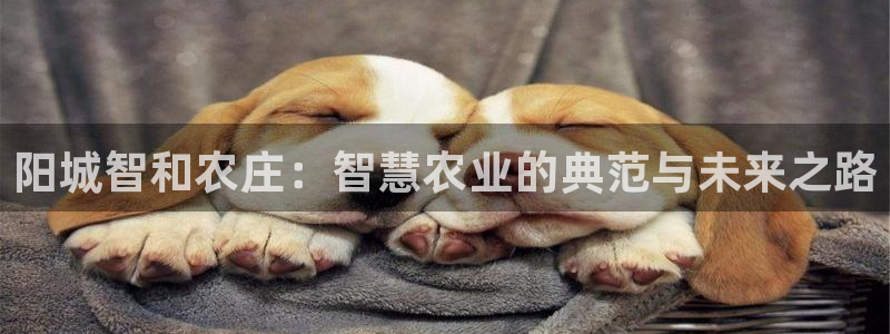 pg电子怎么天天输